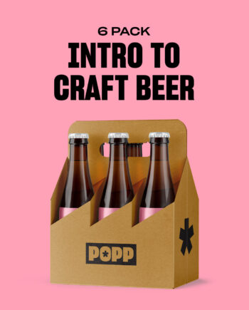 Intro to Craft Beer Pack